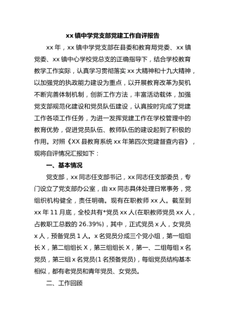 xx镇中学党支部党建工作自评报告