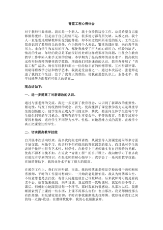 青蓝工程心得体会(13)