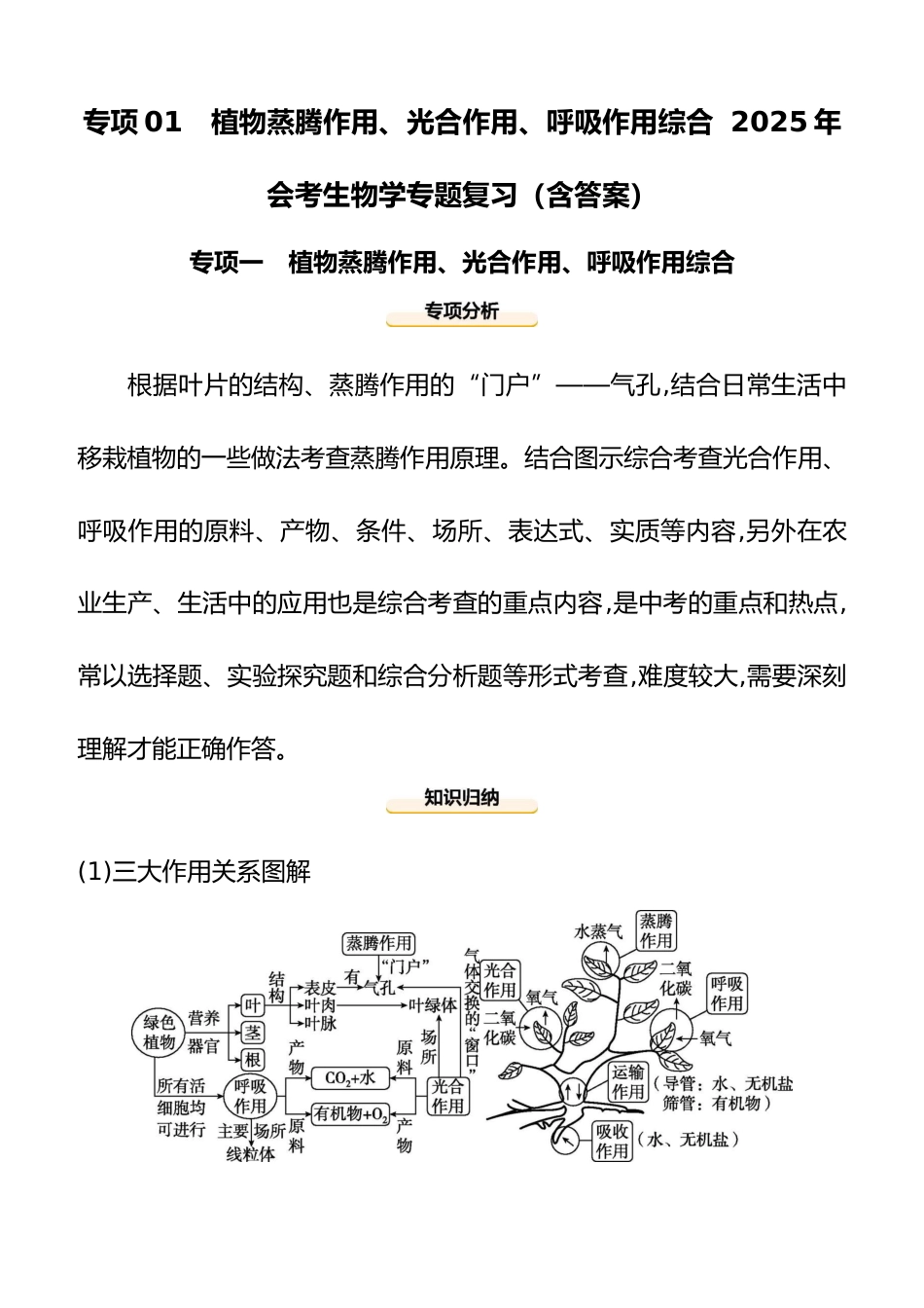 专项01 植物蒸腾作用、光合作用、呼吸作用综合 2025年会考生物学专题复习(含答案)_第1页