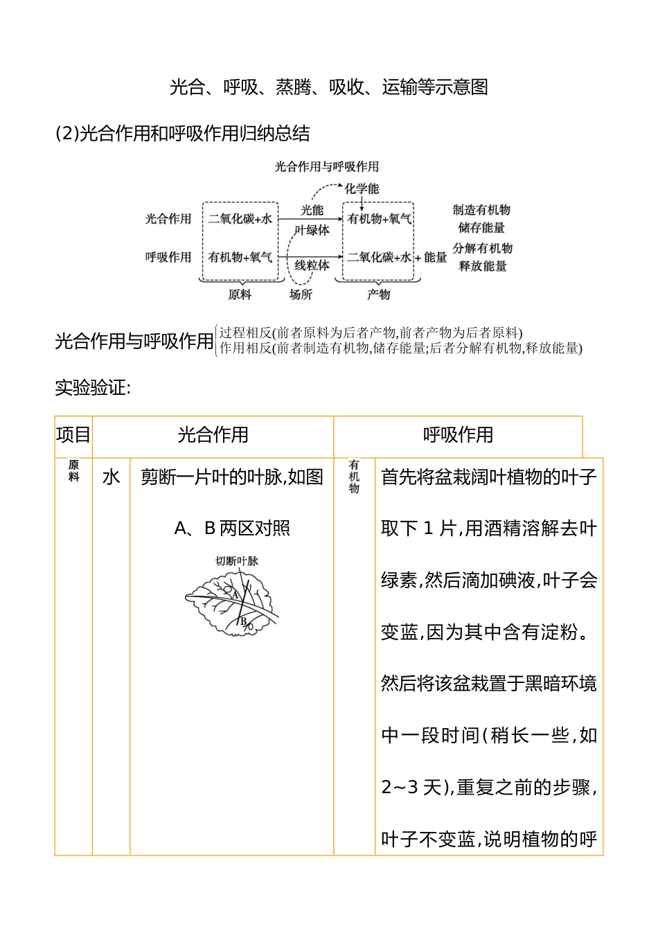 专项01 植物蒸腾作用、光合作用、呼吸作用综合 2025年会考生物学专题复习(含答案)_第2页
