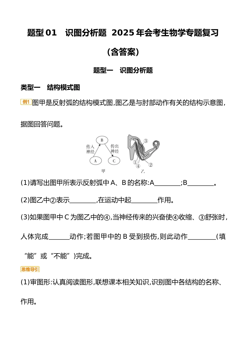 题型01 识图分析题 2025年会考生物学专题复习(含答案)_第1页