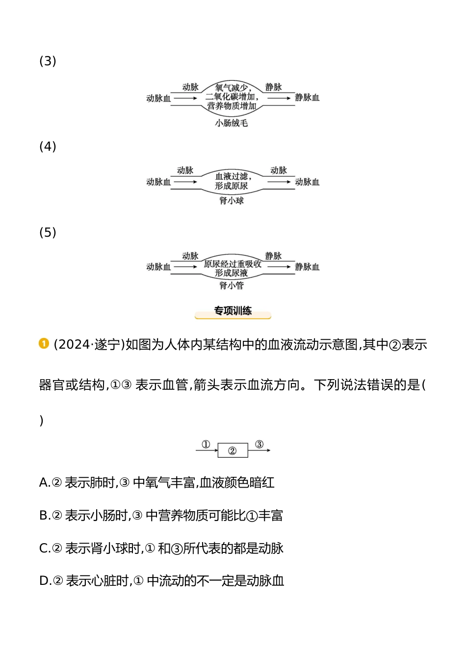 专项02 消化、呼吸、循环和泌尿系统综合 2025年会考生物学专题复习(含答案)_第2页
