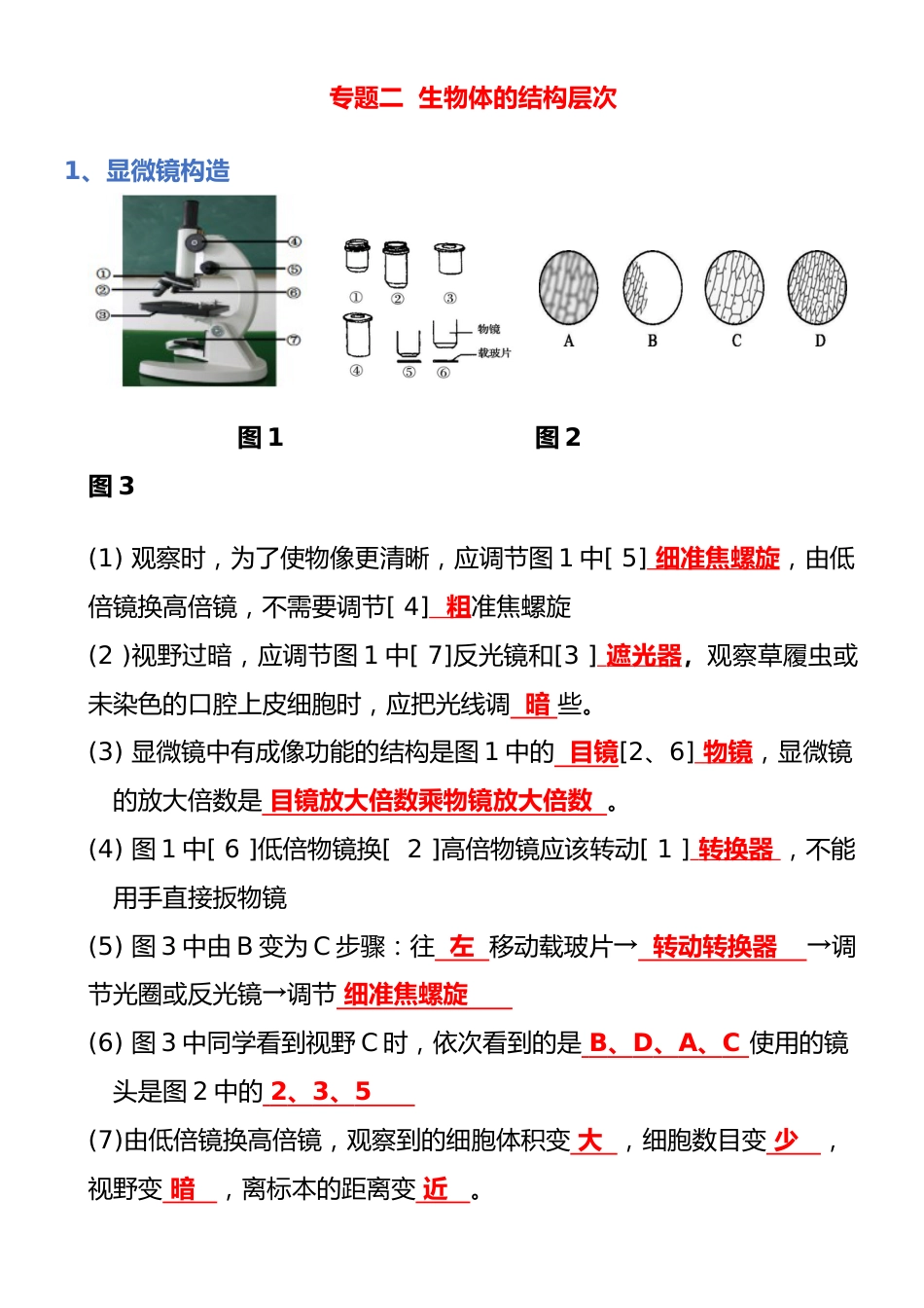 专题02 生物体的结构层次(背诵版)_第1页