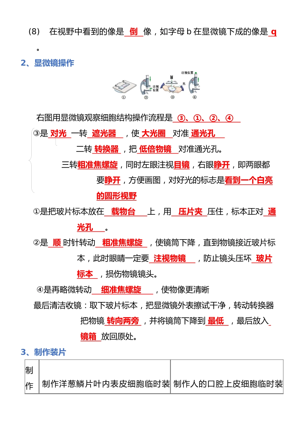专题02 生物体的结构层次(背诵版)_第2页