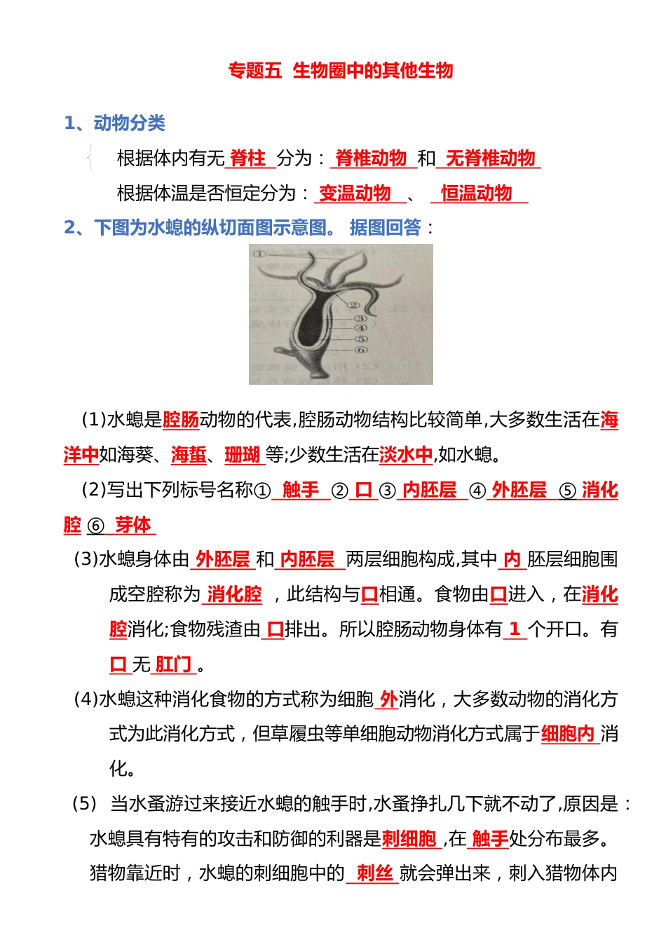 专题05 生物圈中的其他生物(背诵版)_第1页