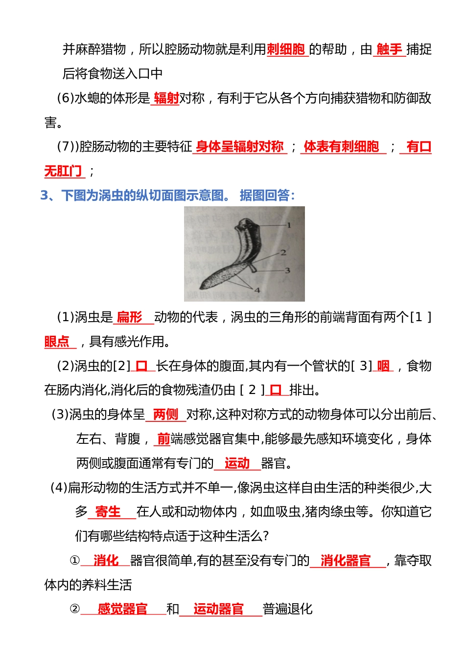 专题05 生物圈中的其他生物(背诵版)_第2页