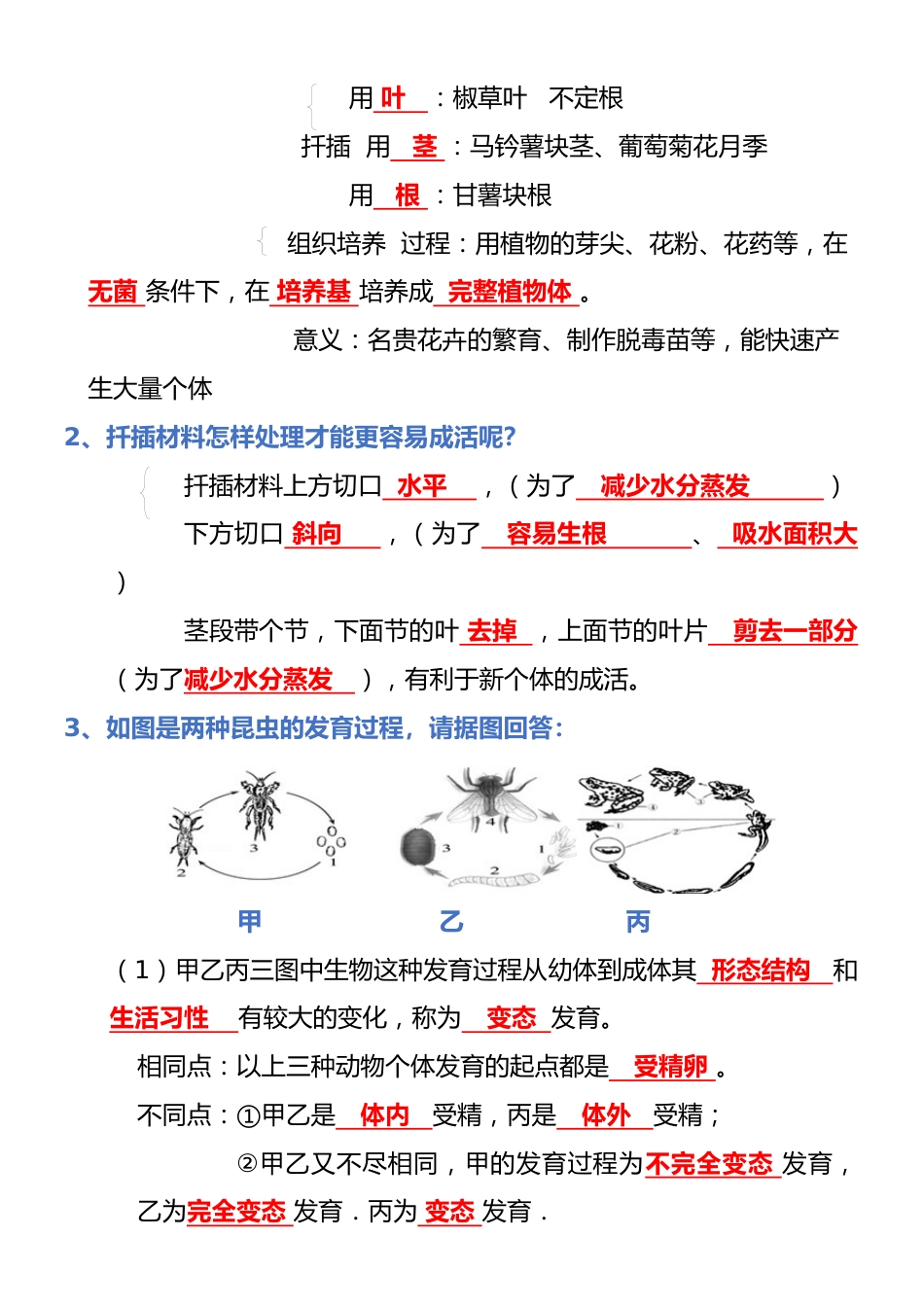 专题07 生物圈中生命的延续和发展(背诵版)_第2页
