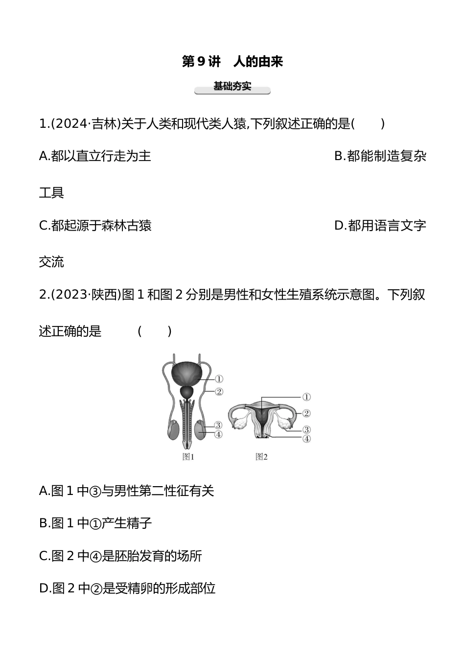 第09讲 人的由来 2025年会考生物学专题练习(含答案)_第1页