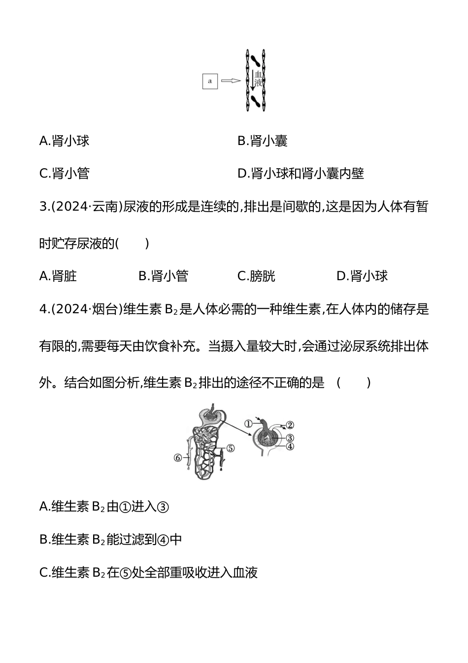 第13讲 人体内废物的排出 2025年会考生物学专题练习(含答案)_第2页