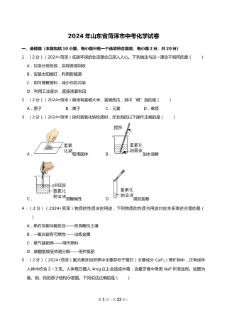 2024年山东省菏泽市中考化学试卷