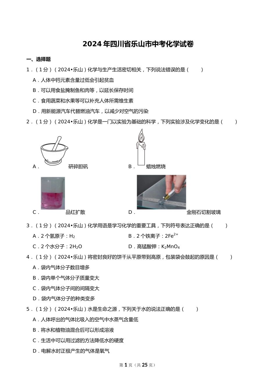 2024年四川省乐山市中考化学试卷_第1页