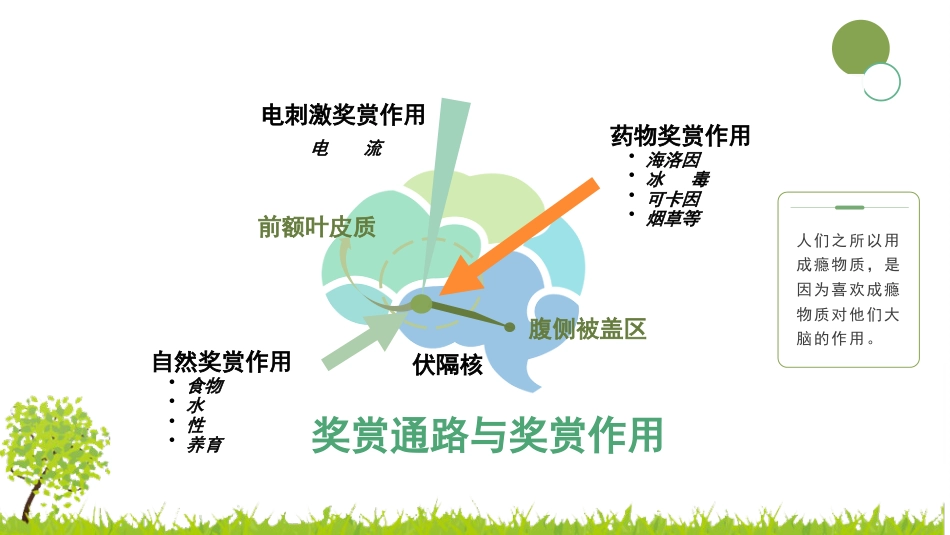无烟校园主题班会_第6页