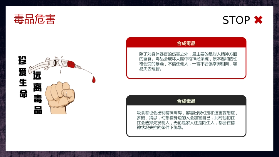 禁毒日主题班会_第9页