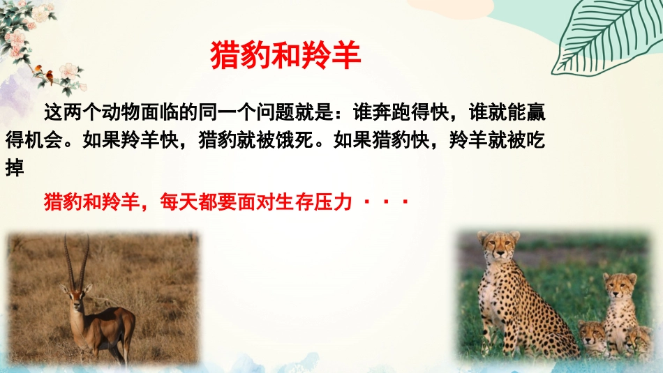 【心态班会】压力,放马过来吧_第6页