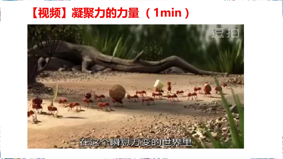 一花独放不是春,万紫千红春满园-班级凝聚力主题班会_第9页
