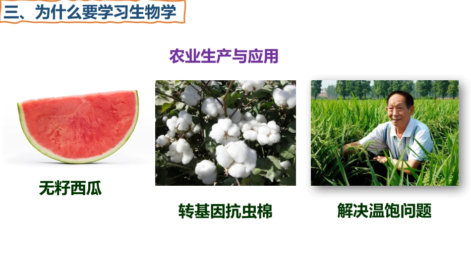 【高一】【生物】2025【秋】开学第一课:之爱上生物课_第8页