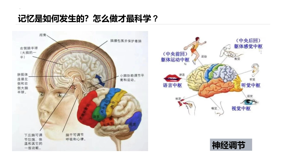 【高二】【生物】2025【秋】开学第一课【人教版】_第9页