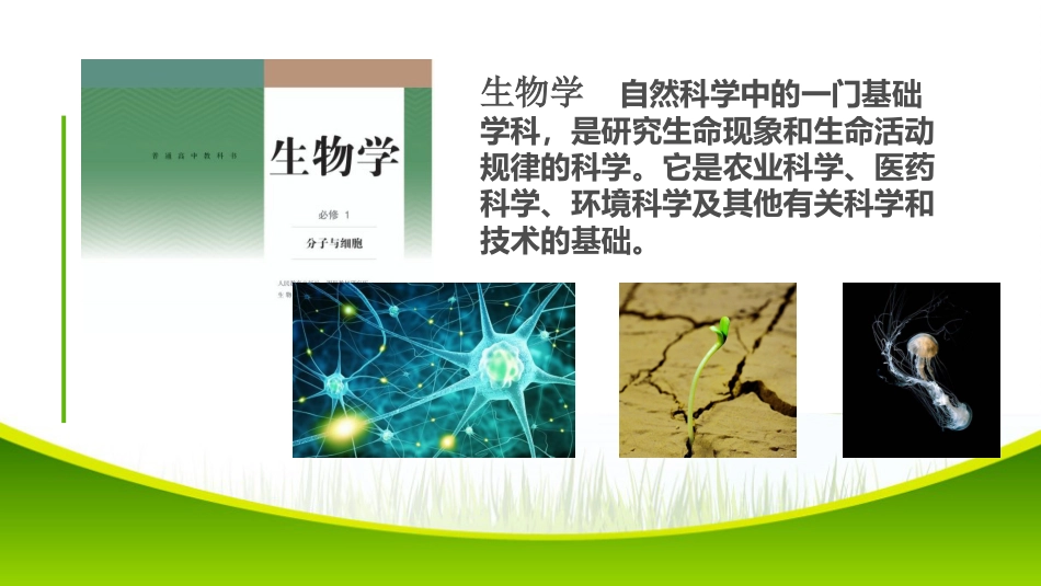 【高一】【生物】2025【秋】上学期开学第一课:探究生物奥秘_第2页