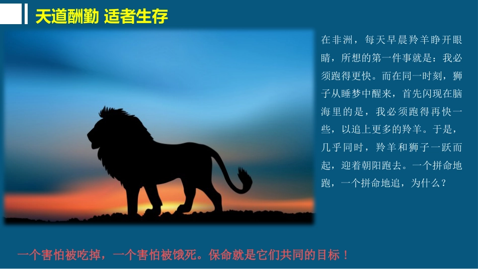 【高三】【数学】2025【秋】开学第一课:为梦想飞翔_第10页