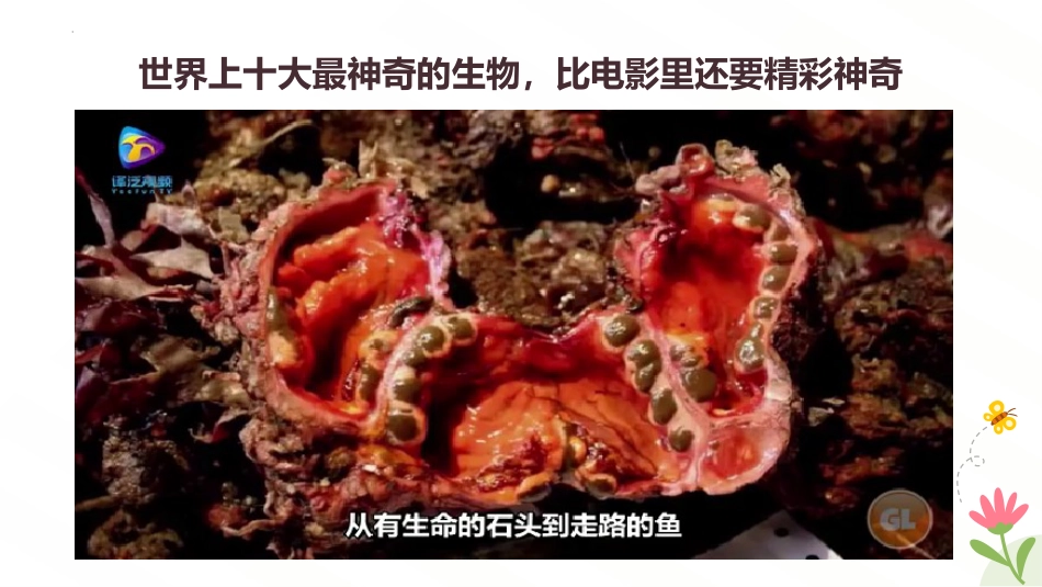 【初一】【七年级】【生物】2025【秋】开学第一课主题班会【人教版】_第2页