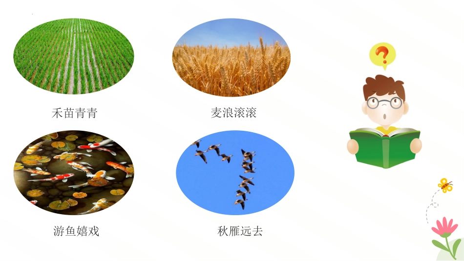 【初一】【七年级】【生物】2025【秋】开学第一课主题班会【人教版】_第5页