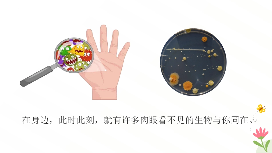 【初一】【七年级】【生物】2025【秋】开学第一课主题班会【人教版】_第6页