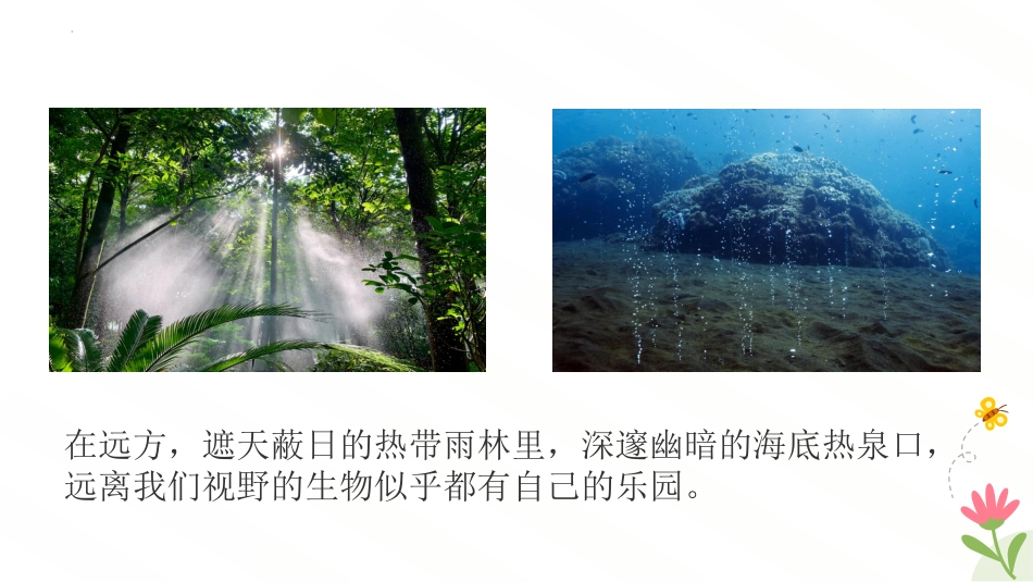 【初一】【七年级】【生物】2025【秋】开学第一课主题班会【人教版】_第7页
