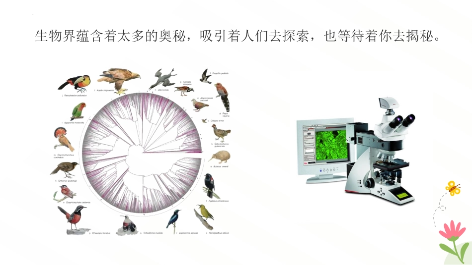 【初一】【七年级】【生物】2025【秋】开学第一课主题班会【人教版】_第8页