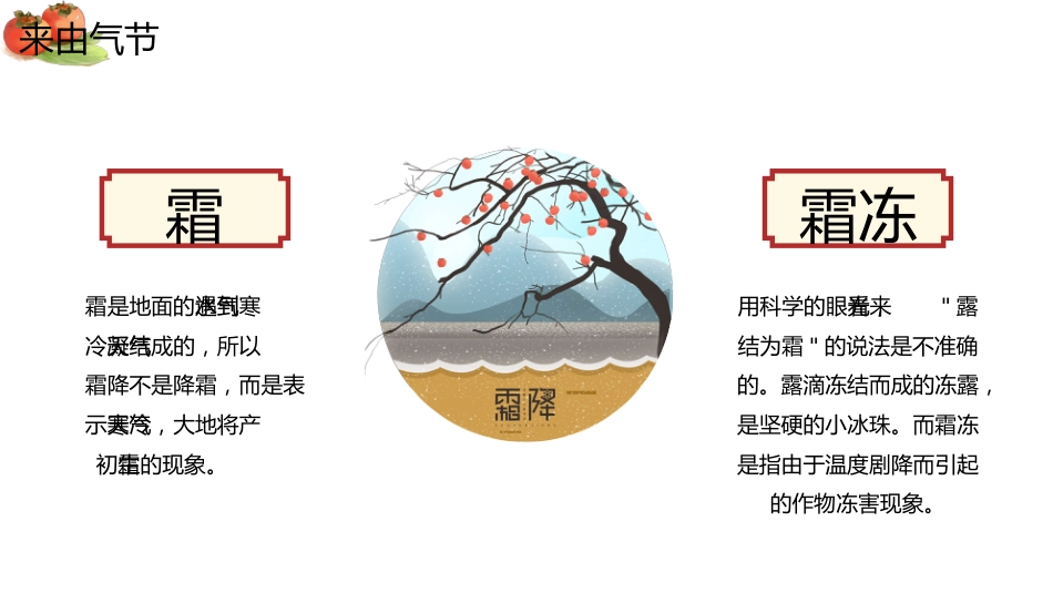 【通用】主题班会:中国传统节气24节气--霜降_第8页