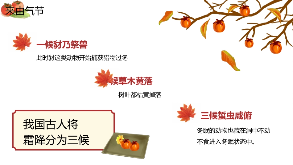 【通用】主题班会:中国传统节气24节气--霜降_第9页