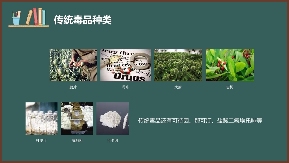 【安全教育】主题班会:禁毒教育_第5页
