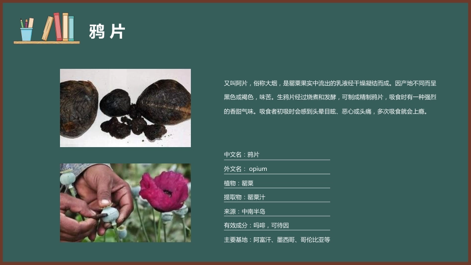 【安全教育】主题班会:禁毒教育_第6页