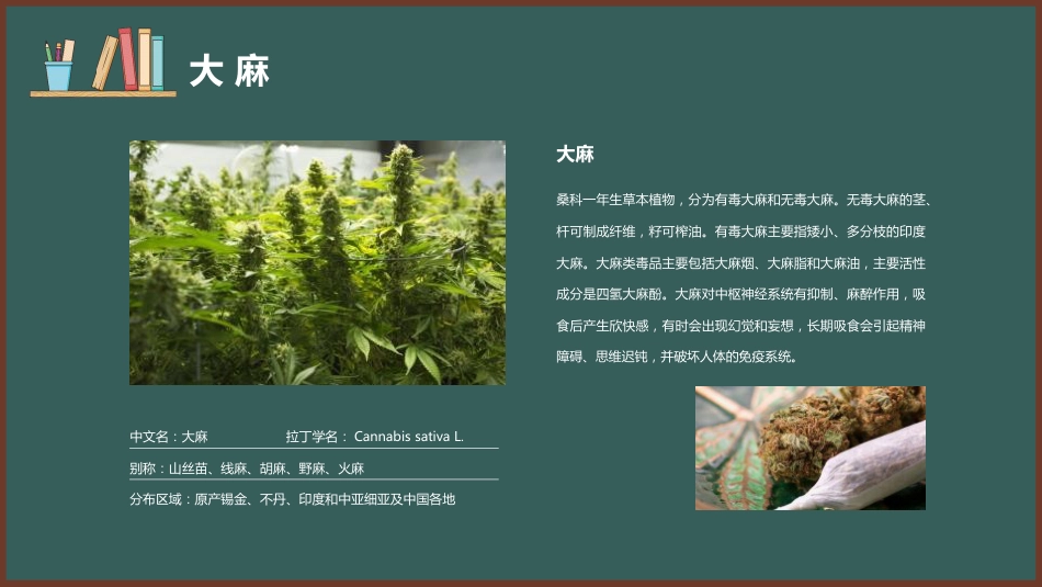 【安全教育】主题班会:禁毒教育_第8页