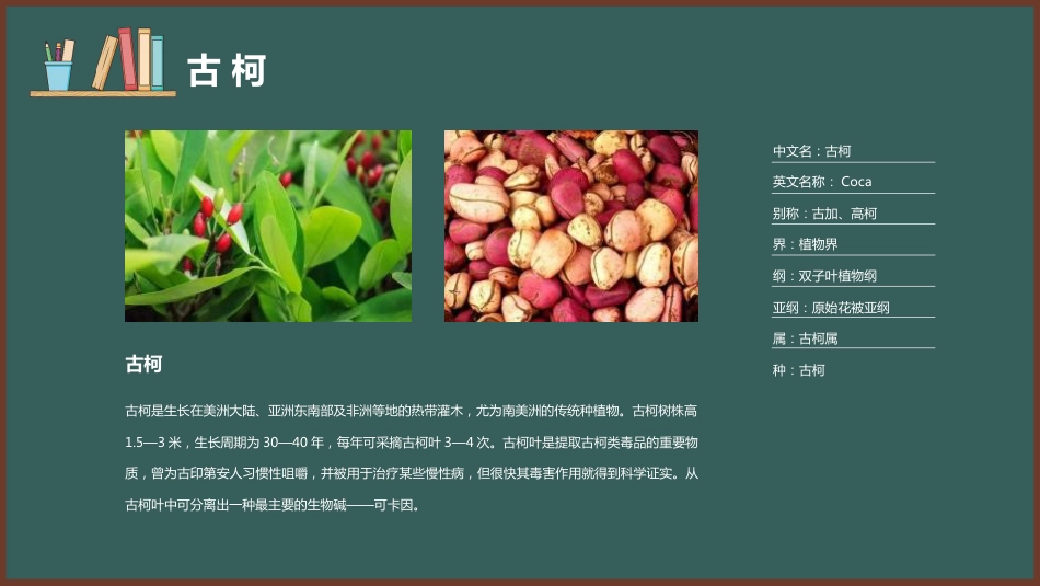 【安全教育】主题班会:禁毒教育_第9页