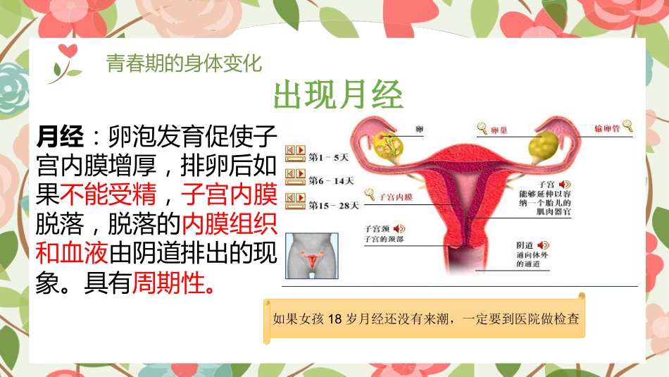 女神闯关大作战:女生青春期教育_第10页