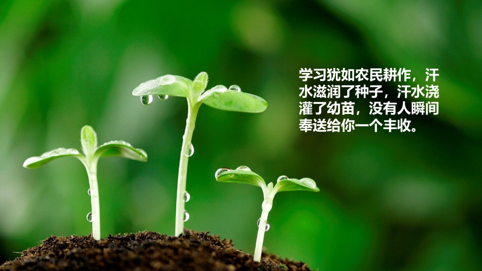 三爱三节主题班会_第8页