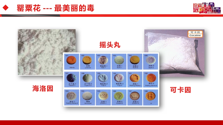 相互热爱,共享生命:禁毒防艾主题班会_第7页