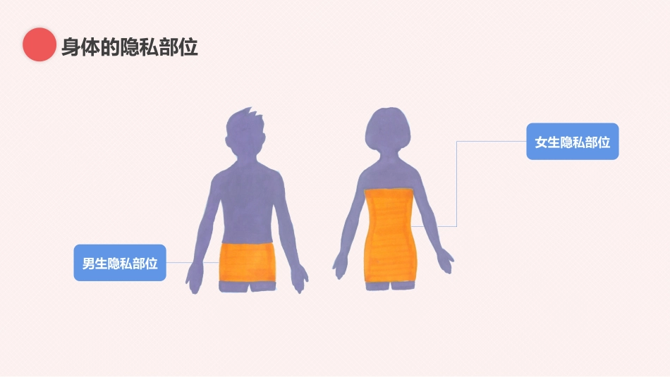 安全教育主题班会-预防性侵害保护我自己(中小学)_第6页