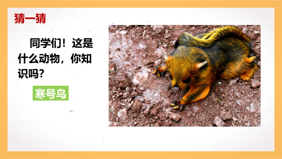 【通用】【习惯培养】主题班会:《写作业不拖拉》_第5页