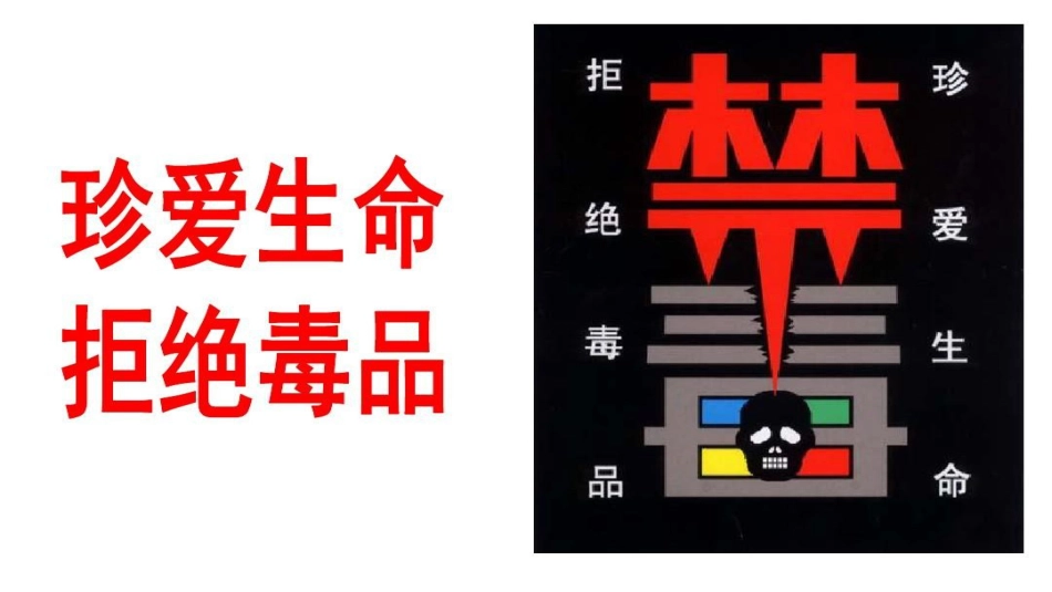 【通用】春季学期安全教育班会:禁毒宣传安全教育PPT2_第3页
