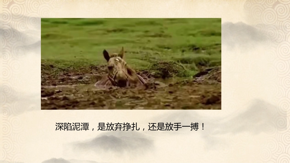 【通用】【内驱力】主题班会:破局--寻找我的突破点_第6页