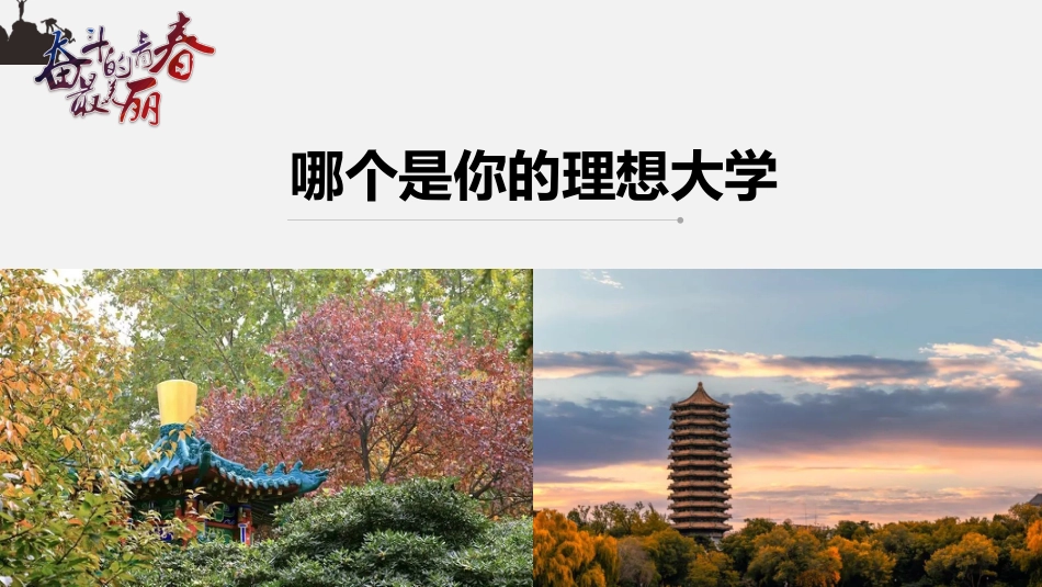 【高三】【理想教育】目标理想教育主题班会《我的大学梦》_第2页