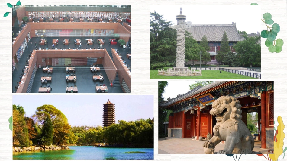 【高三】【理想教育】目标理想教育主题班会《我的大学梦》_第5页