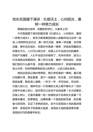 校长在国旗下演讲：扎根沃土，心向阳光，像树一样努力成长