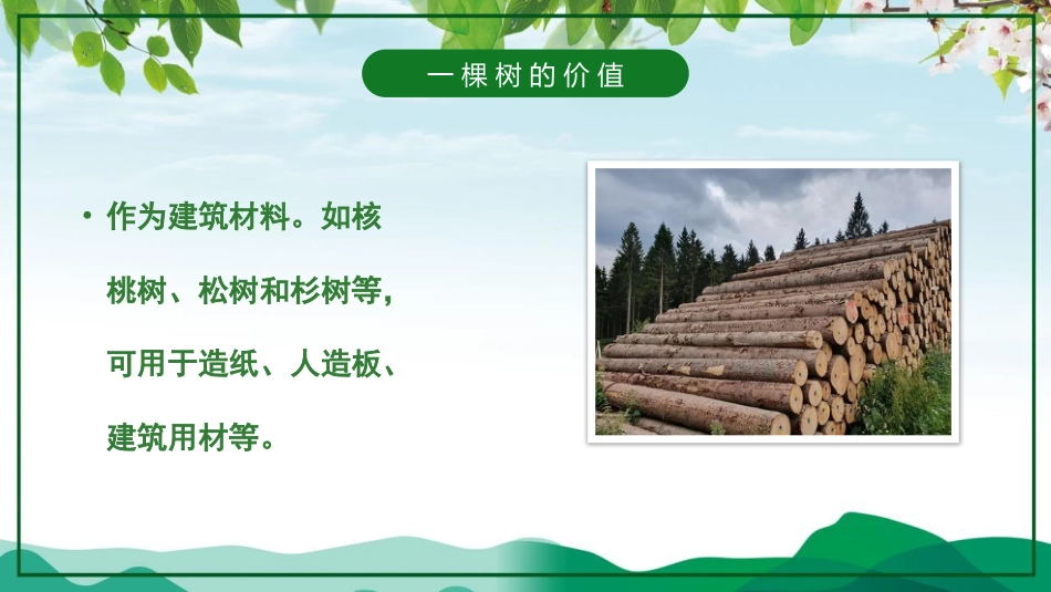 第4周《植树节》主题班会教学课件_第4页