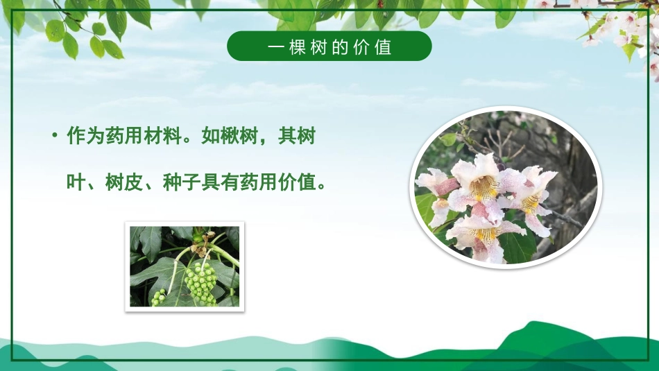 第4周《植树节》主题班会教学课件_第7页