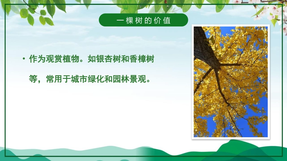 第4周《植树节》主题班会教学课件_第8页