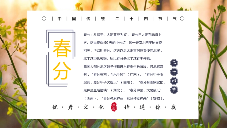 16二十四节气-非遗_第7页