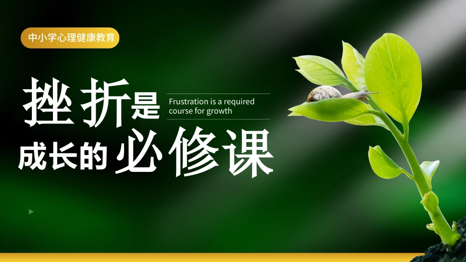 【中小学】【心理教育】主题班会:挫折试成长的必修课_第1页