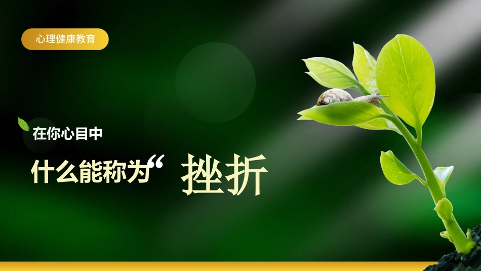 【中小学】【心理教育】主题班会:挫折试成长的必修课_第2页